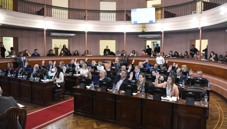 Diputados sancionó la regulación de actividades vinculadas a metales no ferrosos